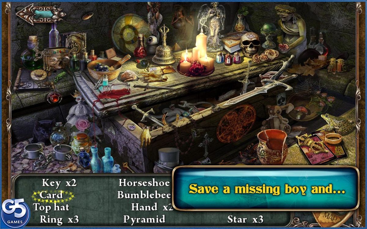 Lost Souls: Enchanted Paintings (Collector's Edition) Screenshot (Google Play)