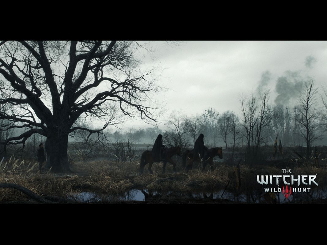 The Witcher 3: Wild Hunt Wallpaper (Official Web Site): 1600x1200