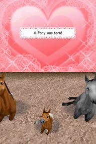 Petz: Horseshoe Ranch Screenshot (Nintendo.com)