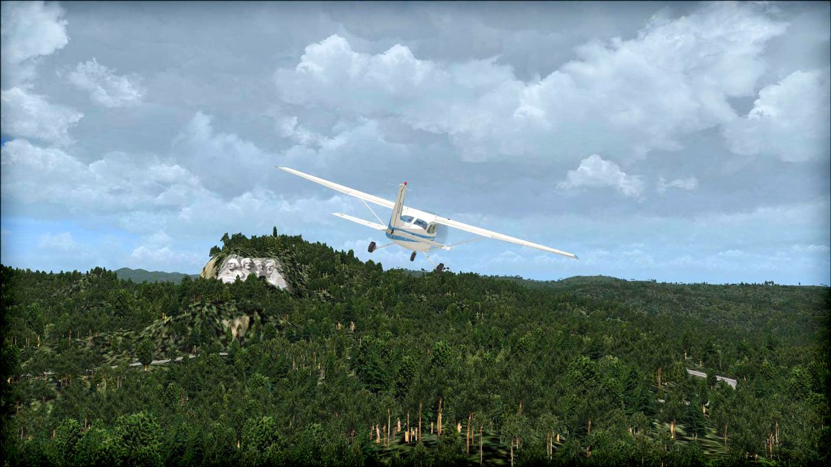 Microsoft Flight Simulator X: Steam Edition - Natural Tree Environment X Screenshot (Steam)