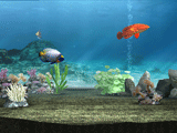 My Aquarium Screenshot (Nintendo.com)