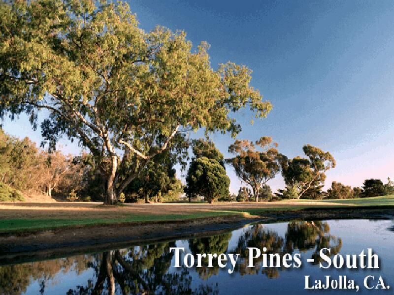 Links 386 Pro Wallpaper (Links 386 Pro Wallpaper from the Links Country Club): 386_torrey1