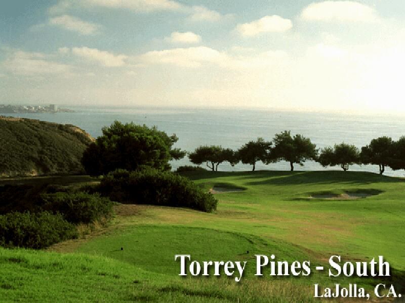 Links 386 Pro Wallpaper (Links 386 Pro Wallpaper from the Links Country Club): 386_torrey2