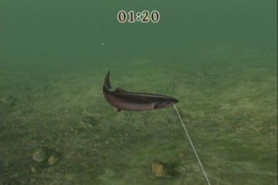 Reel Fishing Challenge Screenshot (Nintendo.com)