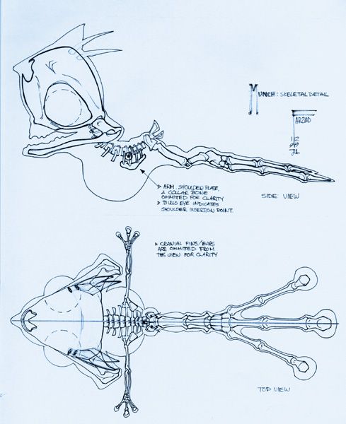 Oddworld: Munch's Oddysee Concept Art (Oddworld: Munch's Oddysee Fan Site Kit): Munch skeleton