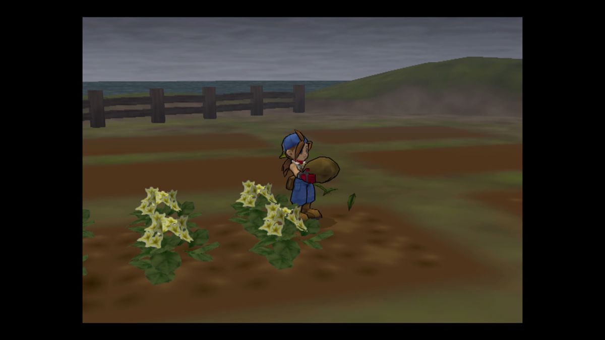 Harvest Moon: Save the Homeland Screenshot (PlayStation Store (PS4))