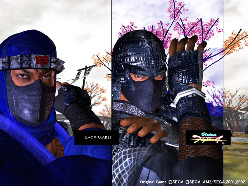 Virtua Fighter 4 official promotional image - MobyGames