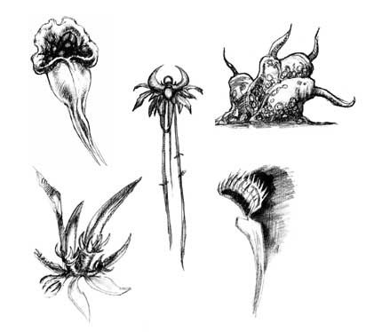Rune Concept Art (Official Website - Concept Art): Plantlife