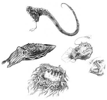 Rune Concept Art (Official Website - Concept Art): Sea Creatures