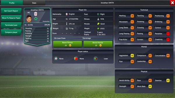 Soccer Manager 2019 Screenshot (Steam product page)