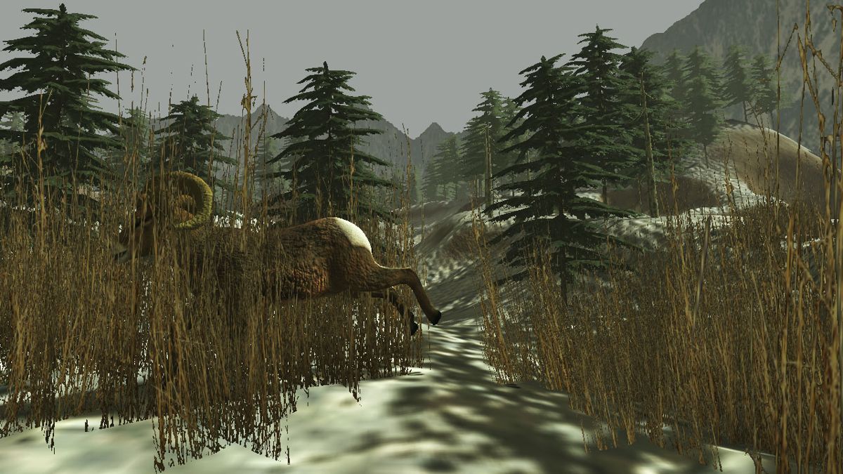 World Hunter Screenshot (PlayStation Store)