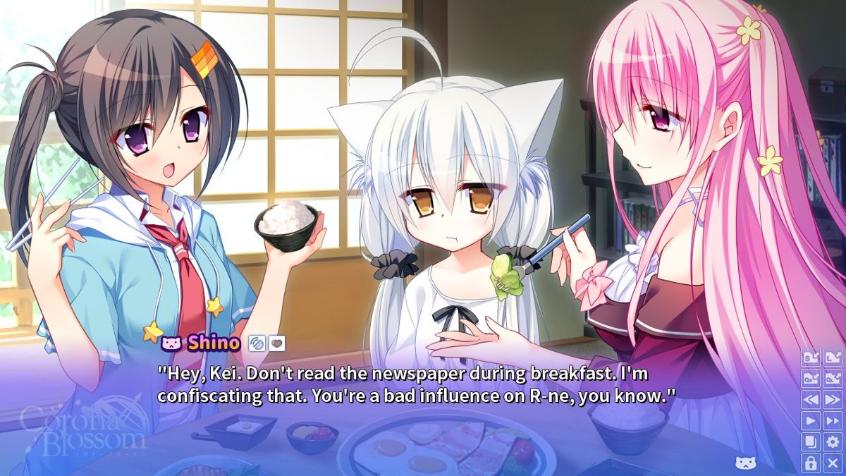 Corona Blossom Vol.1: Gift From the Galaxy Screenshot (Steam)