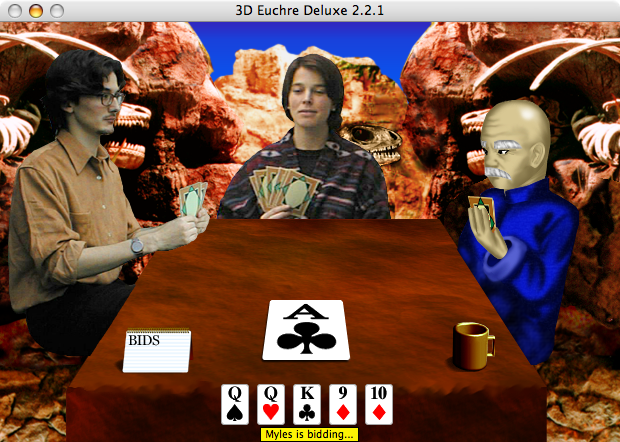 3D Euchre Deluxe Screenshot (freeverse.com, 2010-01-02)