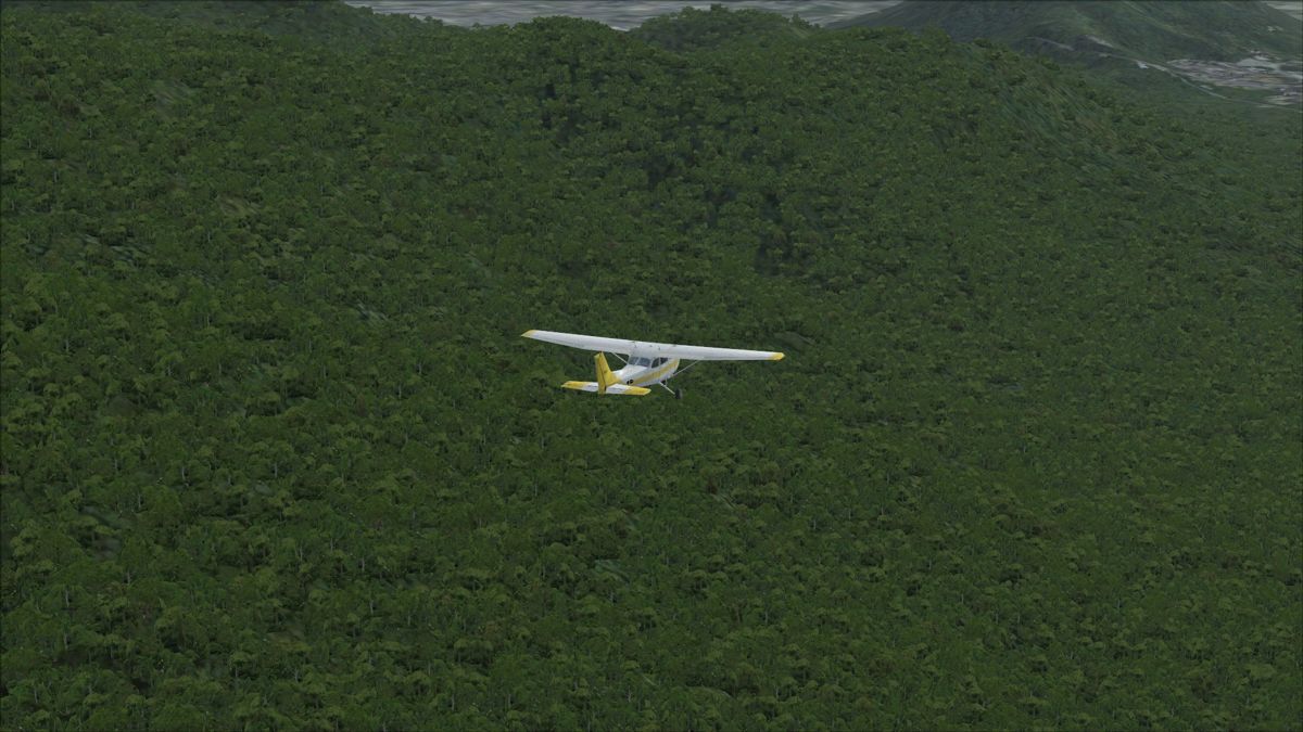 Microsoft Flight Simulator X: Steam Edition - TerraFlora Screenshot (Steam)