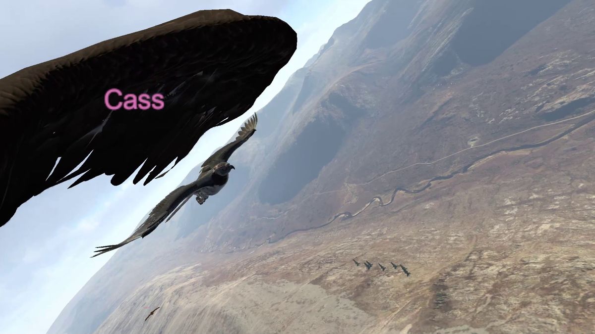 Aquila Bird Flight Simulator Screenshot (Steam)