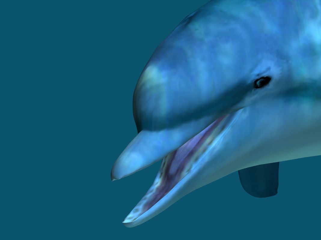 Ecco the Dolphin: Defender of the Future Render (SEGA Dreamcast Press Kit 2000): Ecco Closeup