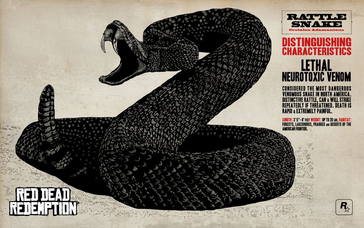 Red Dead Redemption Wallpaper (Official Website): Rattlesnake