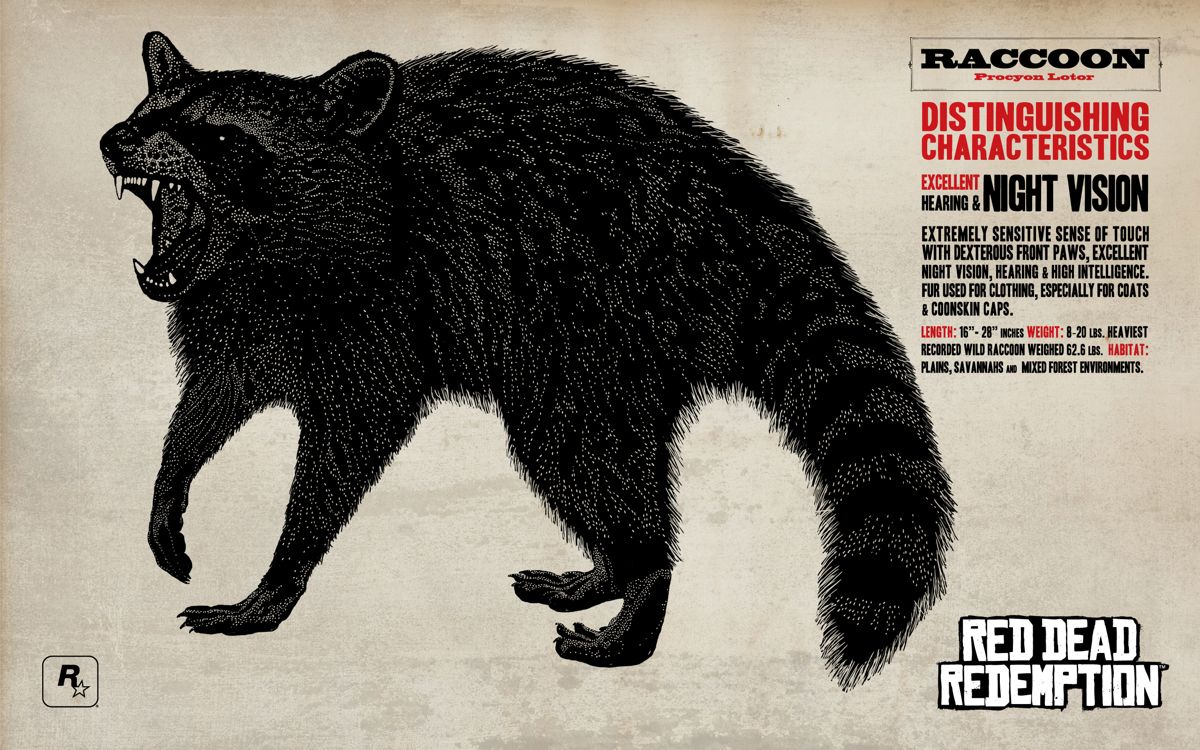 Red Dead Redemption Wallpaper (Official Website): Raccoon