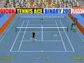 Tennis Ace Screenshot (Idigicon product page (2006)): 0 different players to choose from.