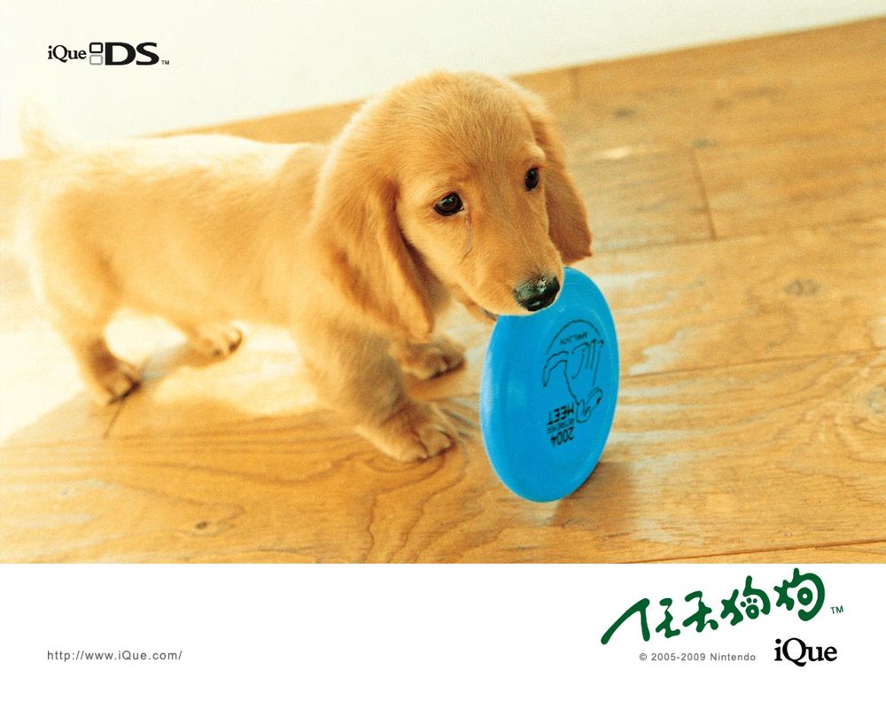 Nintendogs: Lab & Friends Wallpaper (Official Chinese Wallpapers): 1280x1024