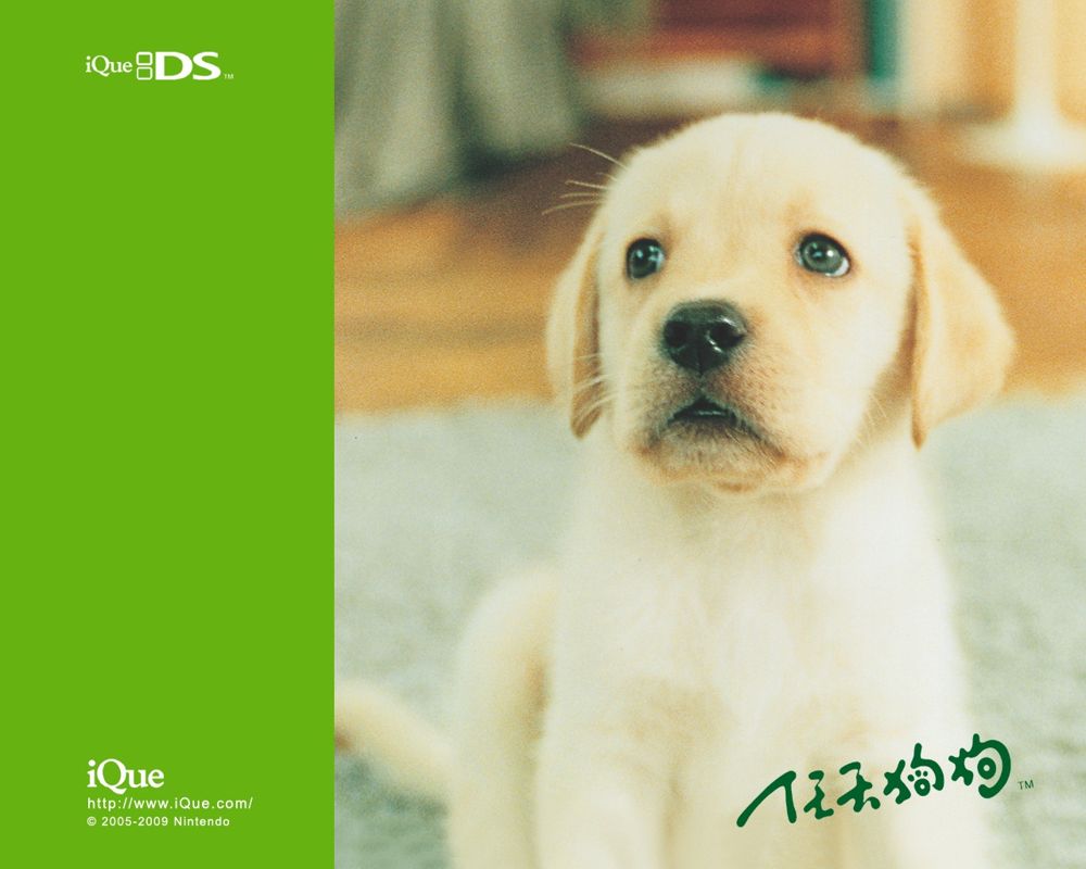 Nintendogs: Lab & Friends Wallpaper (Official Chinese Wallpapers): 1280x1024