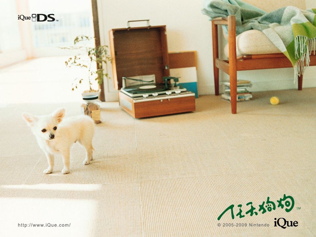 Nintendogs: Lab & Friends Wallpaper (Official Chinese Wallpapers): 1024x768