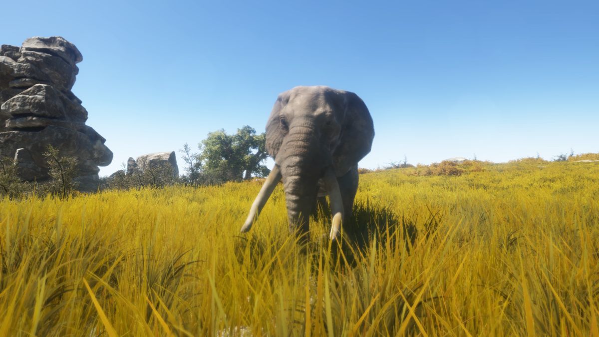 Animallica Screenshot (Steam)