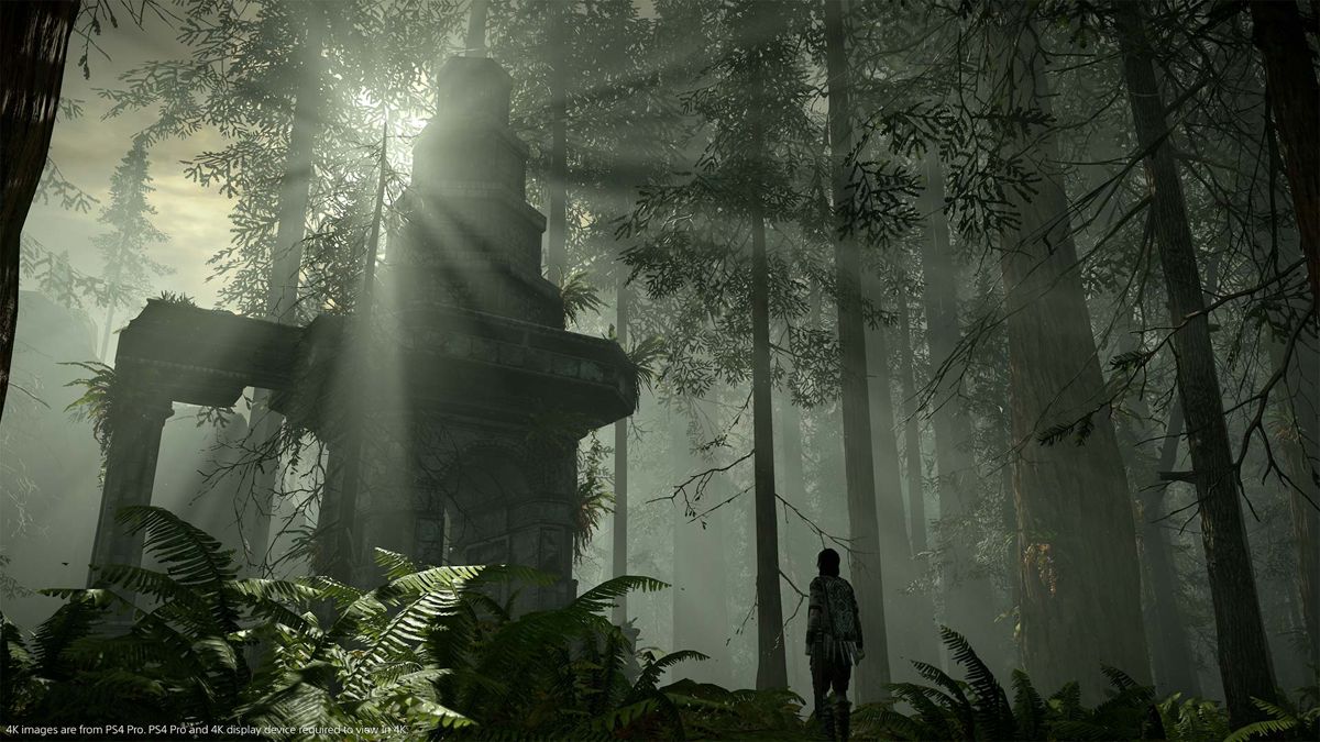 Shadow of the Colossus Screenshot (PlayStation Store)