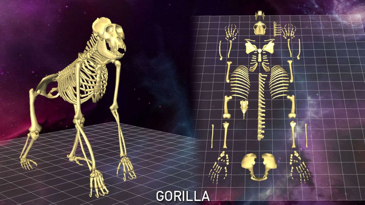 World of Guns: Gun Disassembly - 5 Skeletons Pack Screenshot (Steam)