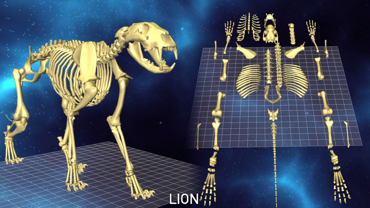 World of Guns: Gun Disassembly - 5 Skeletons Pack Screenshot (Steam)