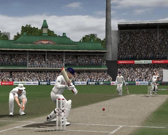 Cricket 07 Screenshot (Electronic Arts UK Press Extranet, 2007-01-03 (PlayStation 2 screenshots))