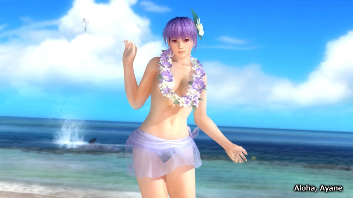 Dead or Alive 5: Last Round - Pre-purchase Reward Set Screenshot (Steam)