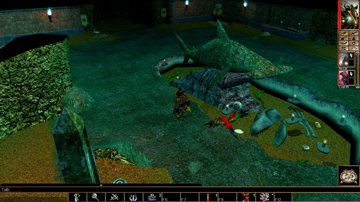 Neverwinter Nights: Enhanced Edition - Pirates of the Sword Coast Screenshot (Steam)