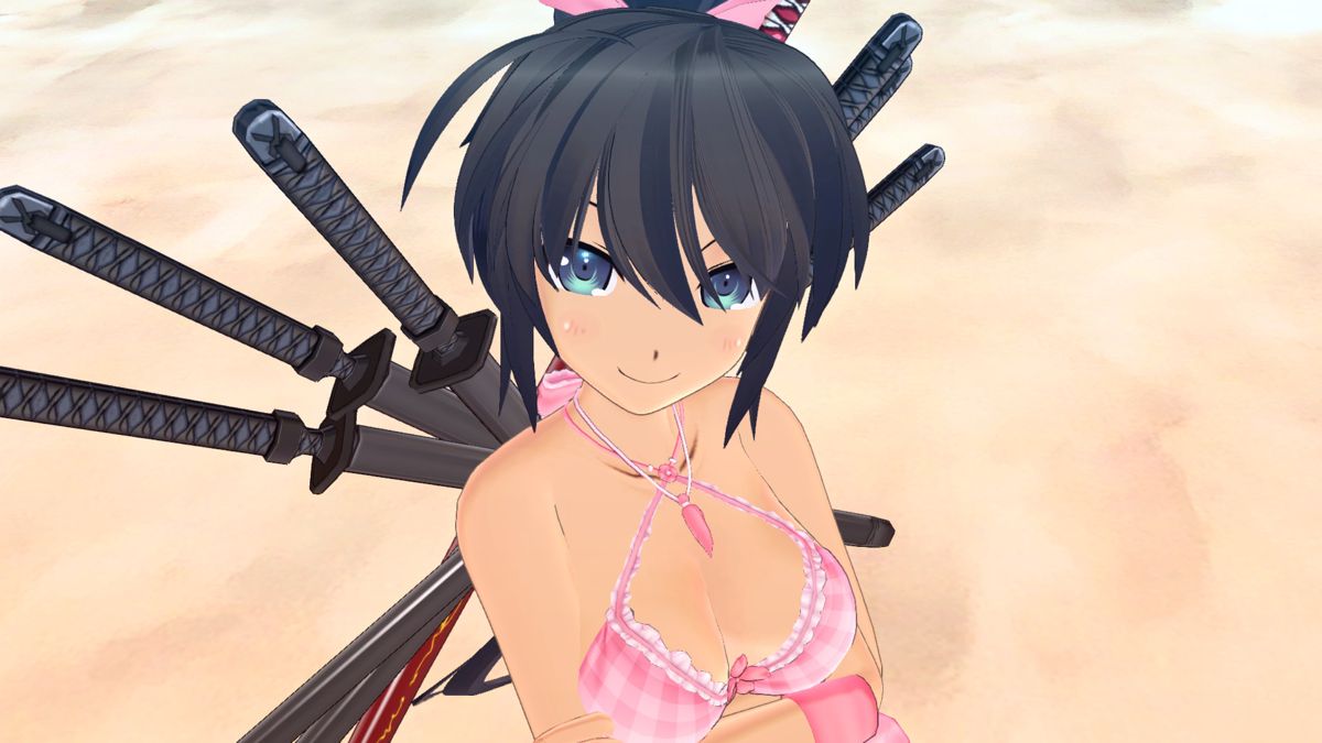 Senran Kagura: Estival Versus - Surprise Pack Screenshot (Steam)
