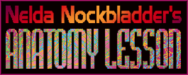 Nelda Nockbladder's Anatomy Lesson Logo (Archived website)
