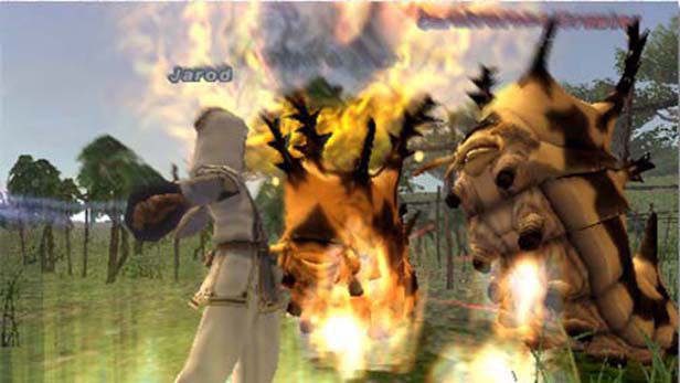 Final Fantasy XI Online Screenshot (PlayStation.com)