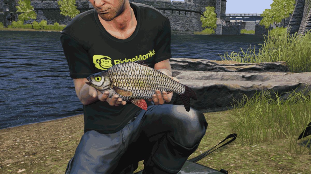 Euro Fishing: The Moat Screenshot (Steam)