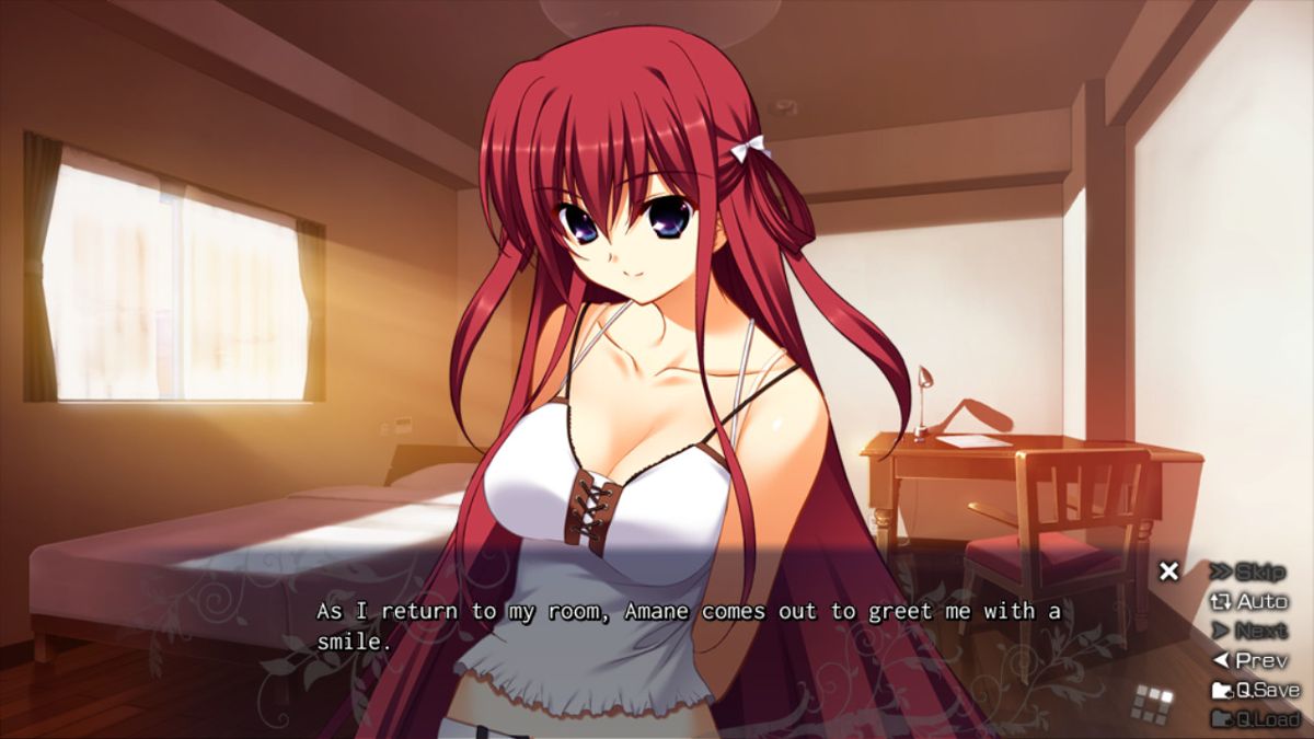 The Labyrinth of Grisaia Screenshot (Steam)
