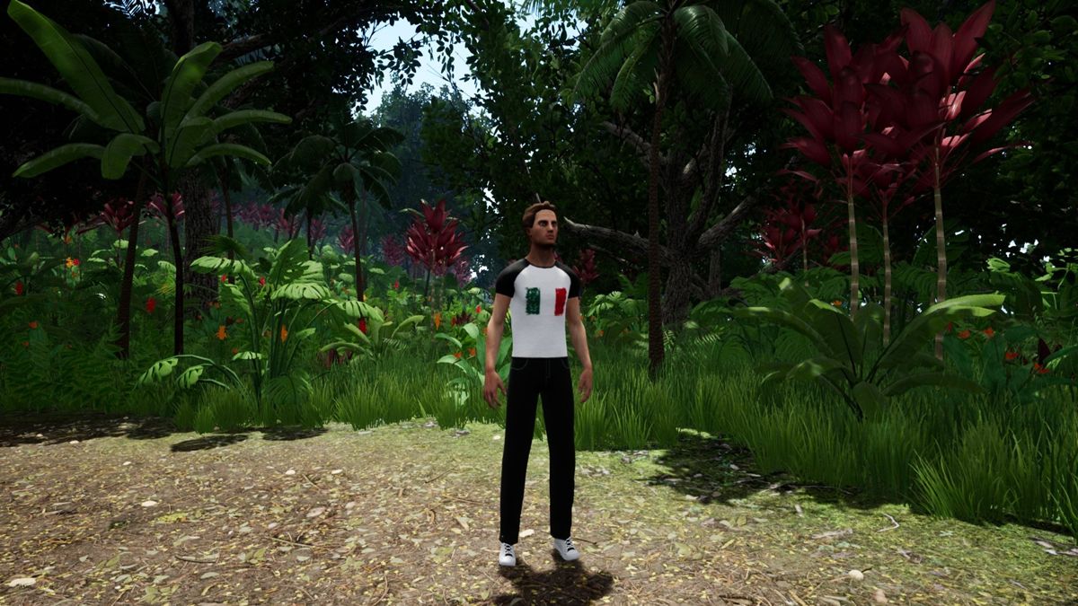 Capsa: Mexican Clothing Patterns Pack Screenshot (Steam)