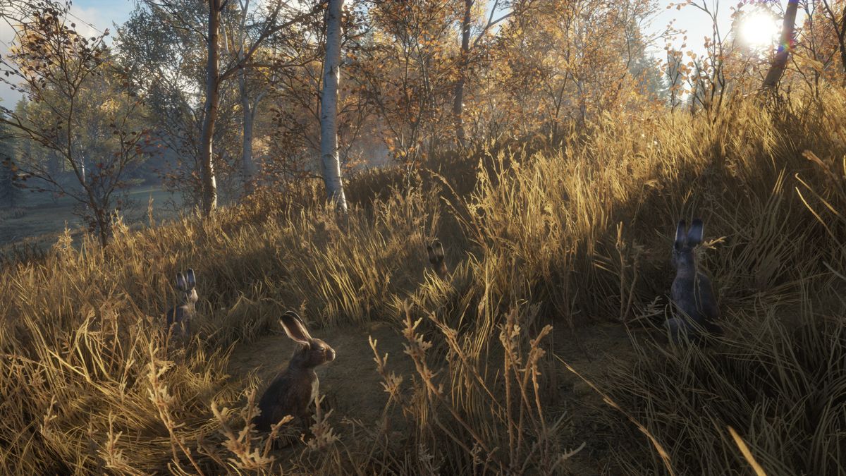 theHunter: Call of the Wild - New Species 2018 Screenshot (Steam)