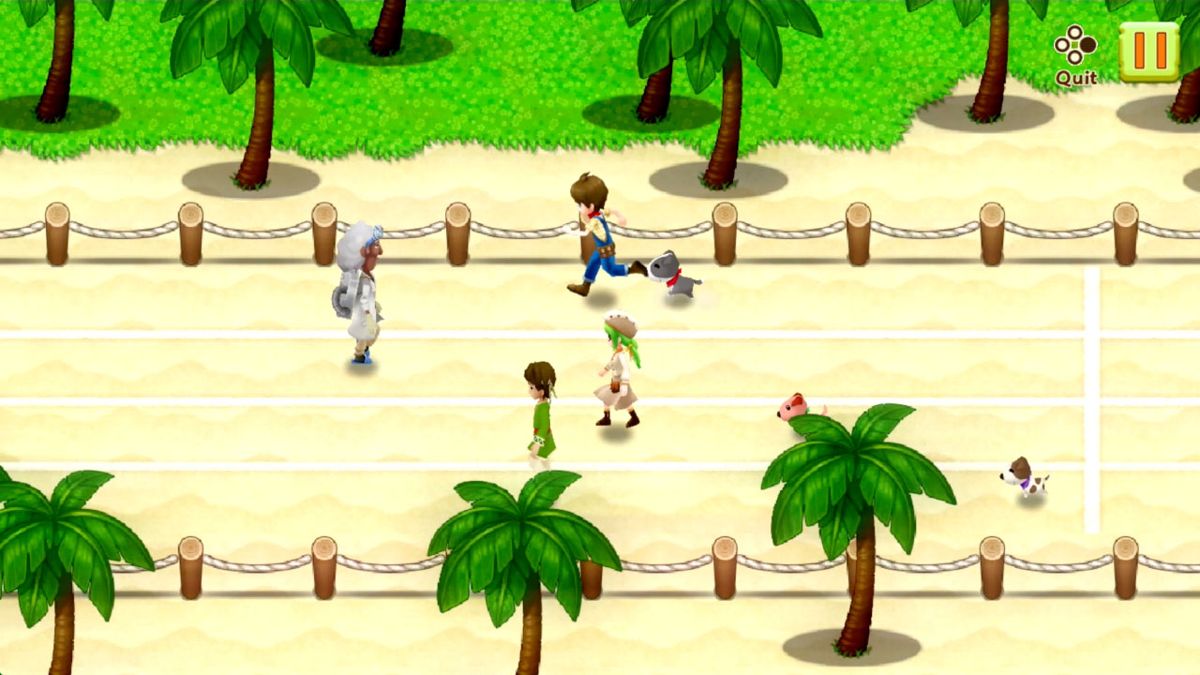 Harvest Moon: Light of Hope Screenshot (Nintendo.com)