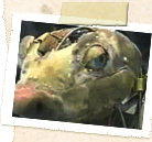 Conker's Bad Fur Day Screenshot (Official Website, 2001): Scene from dev dairy video "Conker's Behind: The Scenes" Screenshot 2