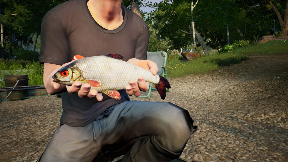 Euro Fishing: Hunters Lake Screenshot (Steam)