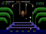 Donkey Kong 3 Screenshot (Nintendo.com - Official Game Page (Wii Virtual Console))