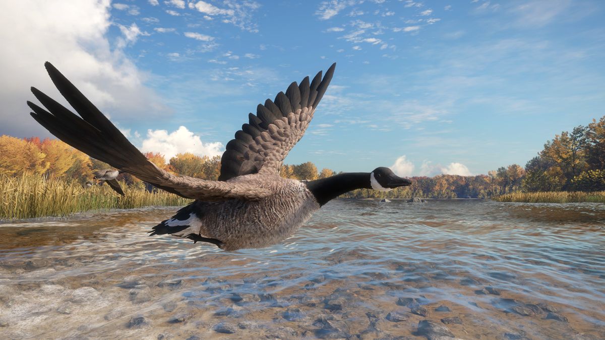 theHunter: Call of the Wild - Wild Goose Chase Screenshot (Steam)