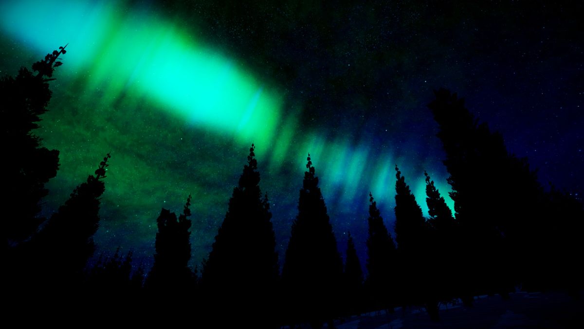 Alaska Screenshot (Steam)