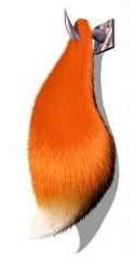 Conker's Bad Fur Day Render (Official Promo from Conker's Homeland): Squirrel Tail
