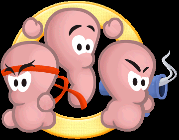 Worms World Party Other (Worms World Party Web Kit): Title Image