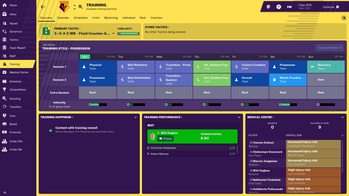 Football Manager 2019 Screenshot (Steam)