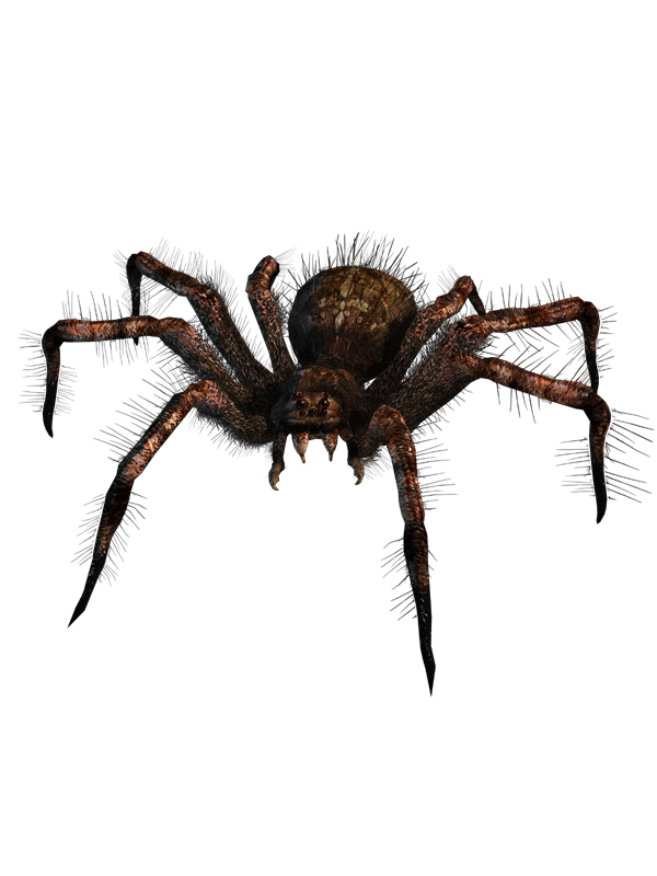 Dark Messiah: Might and Magic Render (Dark Messiah Webkit): Spider